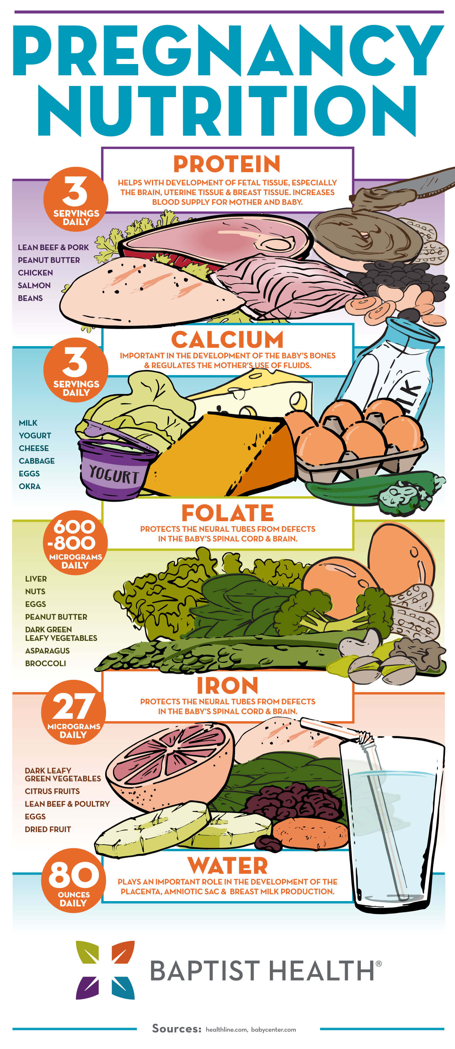Pregnancy Nutrition Infographic